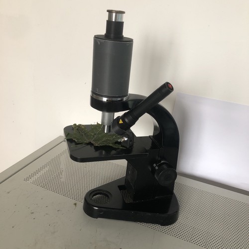 Microscopio leitz - microscopio,