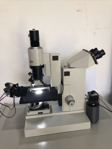 Microscopio inverso leitz - inverso,